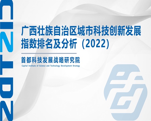 大鸡巴A黄片【成果发布】广西壮族自治区城市科技创新发展指数排名及分析（2022）